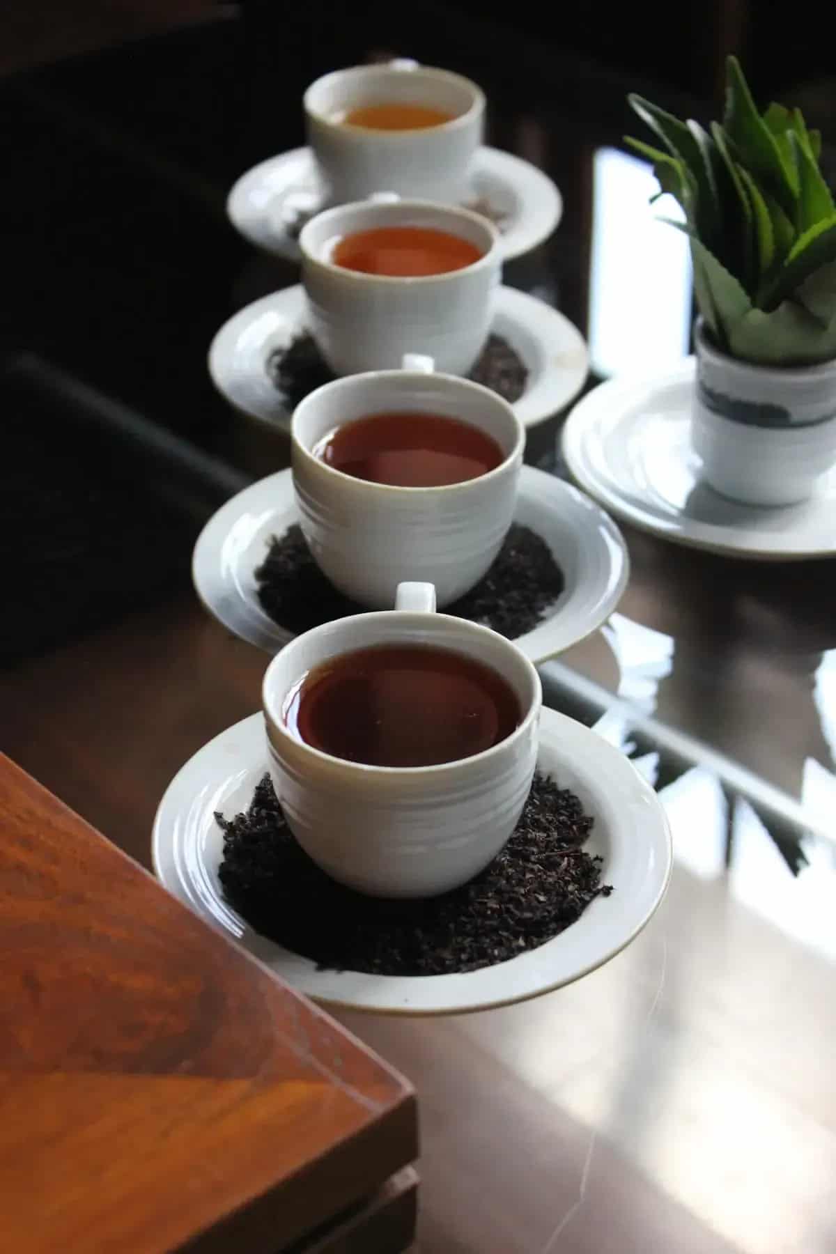 Tassen mit Ceylon-Tee