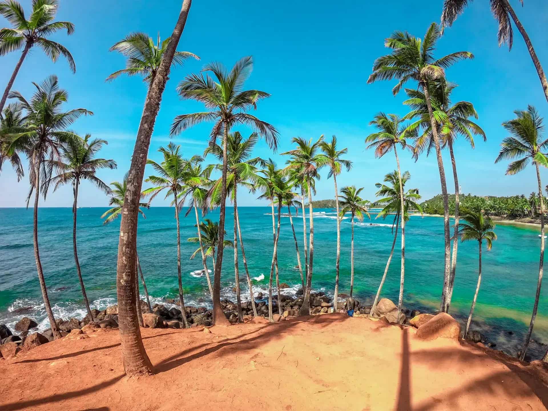 Palmenstrand an der Südküste Sri Lankas