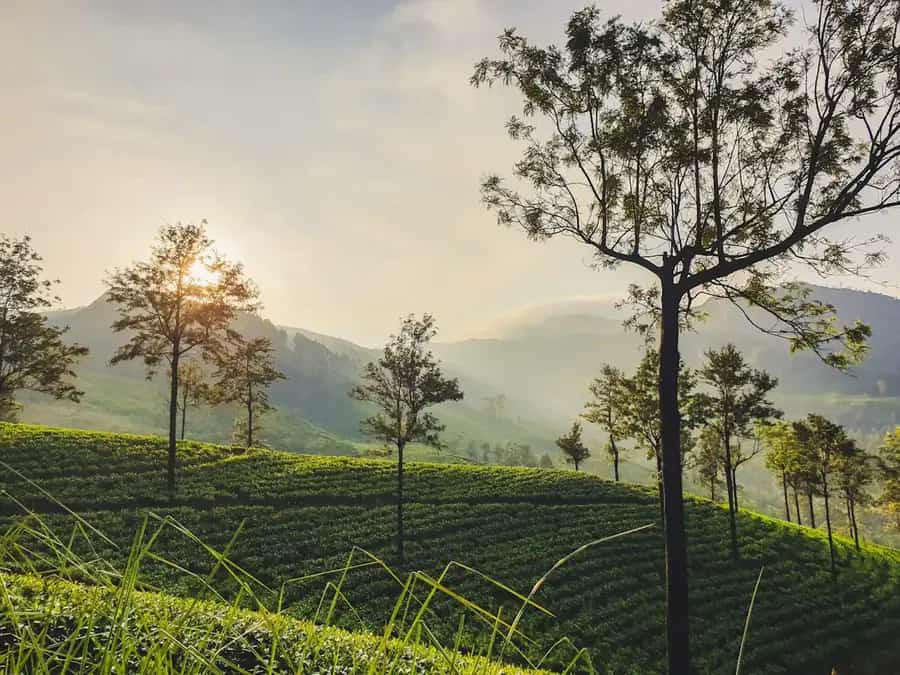 Jetwing St. Andrew's, Nuwara Eliya