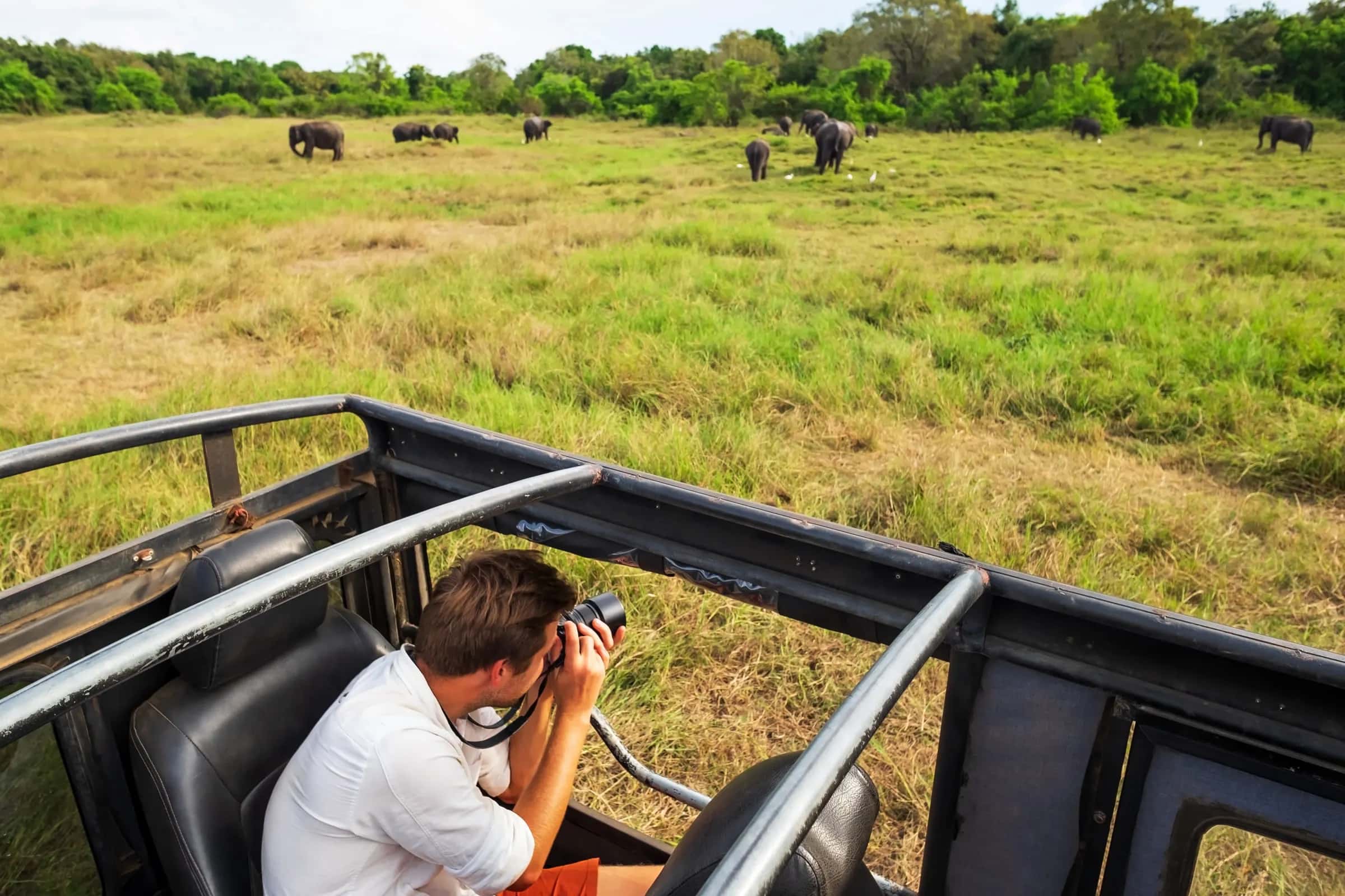 Sri Lanka Safari: Gast fotografiert eine Elefantenherde im Minneriya-Nationalpark