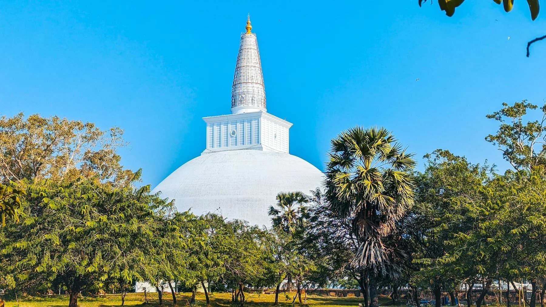 Weiße Dagoba in Anuradhapura zwischen Bäumen unter blauem Himmel