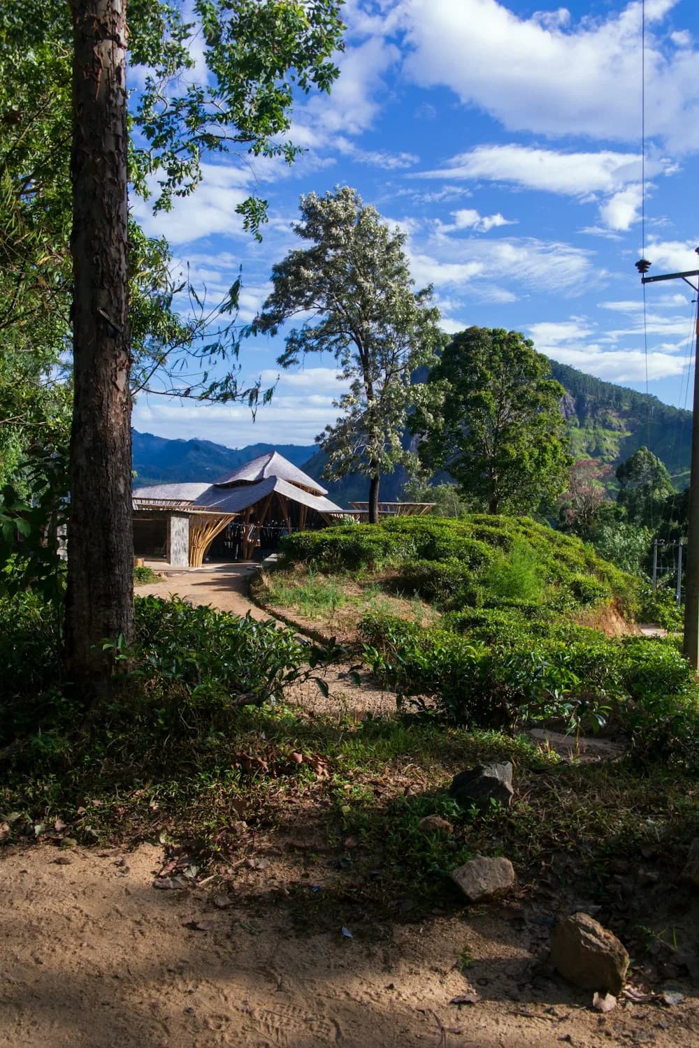 Lodge mit Holzdach zwischen Bäumen und Bergen