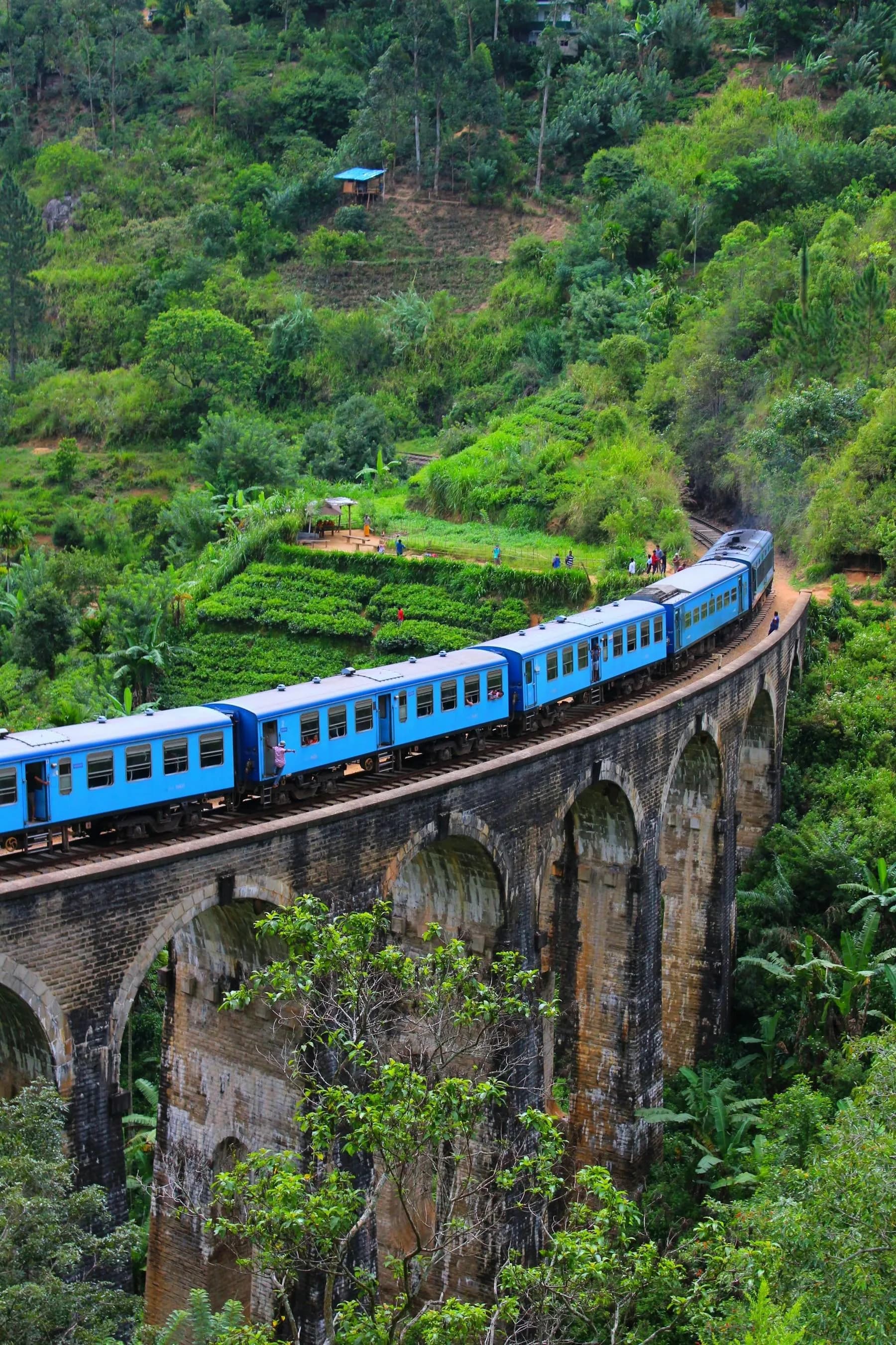 Ein blauer Zug fährt über die Nine Arches Bridge im Dschungel bei Ella