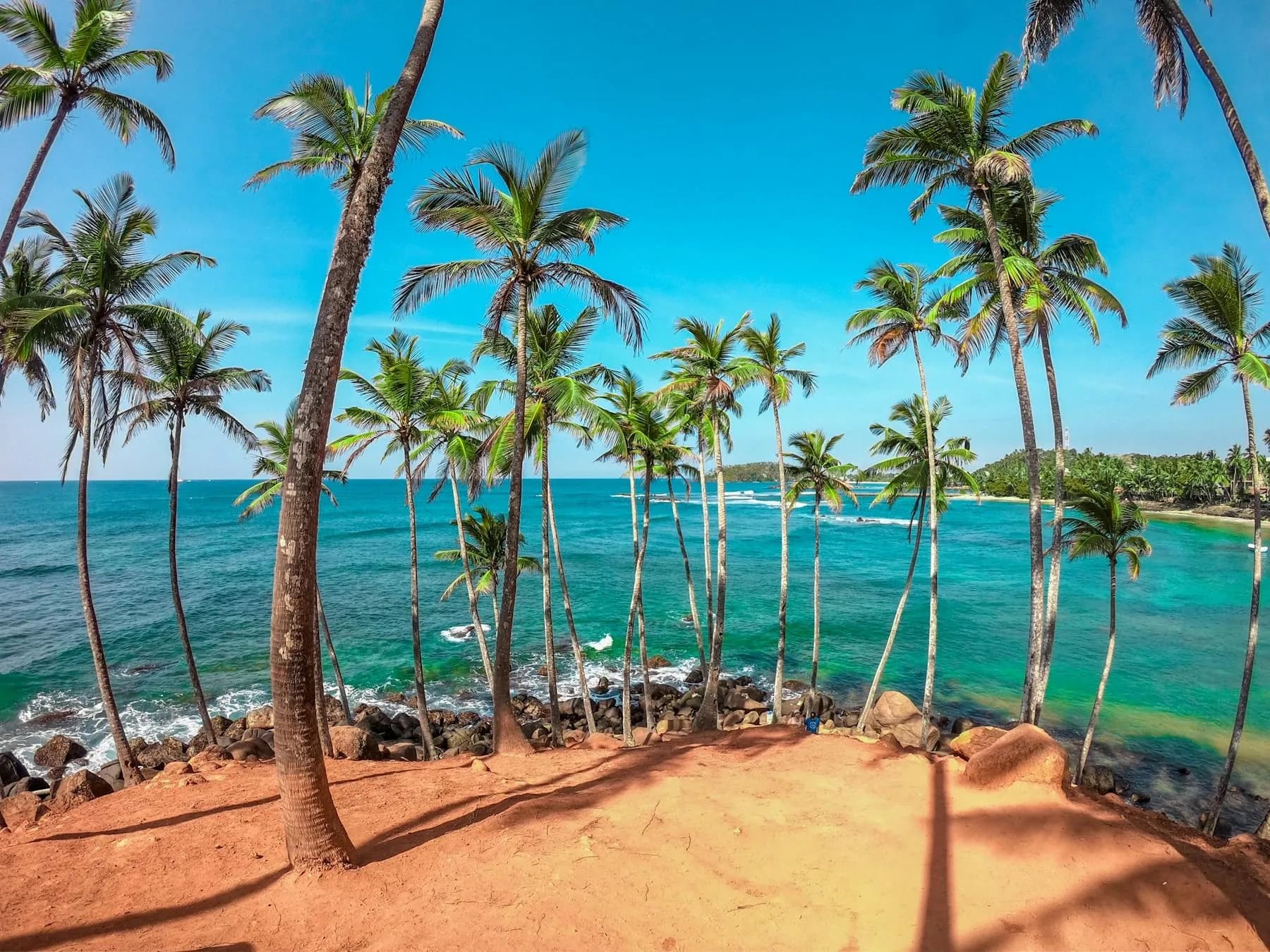 Palmen auf dem Coconut Tree Hill über türkisfarbenem Meer bei Mirissa