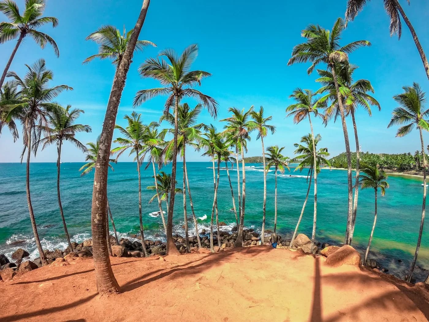 Palmen auf dem Coconut Tree Hill über türkisfarbenem Meer