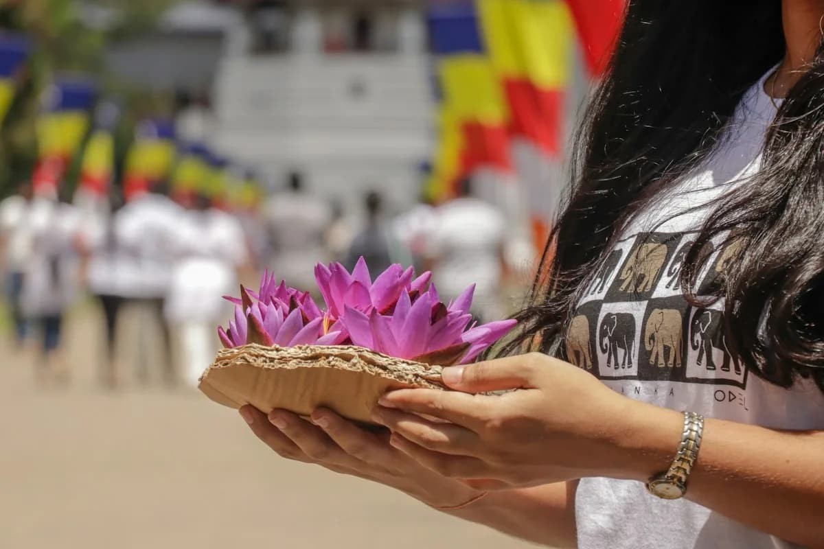Hände halten Lotusblüten als Opfergabe vor einem Tempel